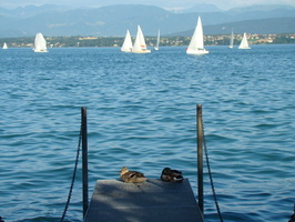 DSC01267