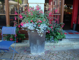 DSC01324