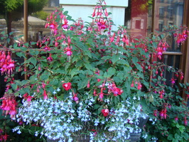DSC01326