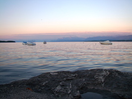 DSC01353