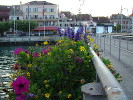 DSC01383