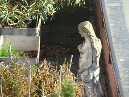 DSC01439