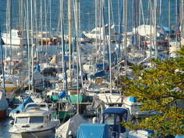DSC01441