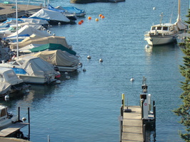DSC01442