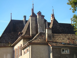 DSC01455