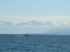 DSC01480