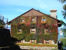 DSC01493