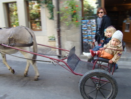 DSC01503
