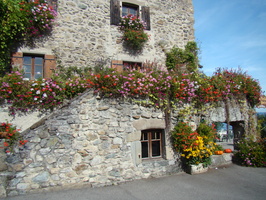 DSC01512