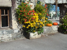 DSC01514