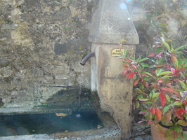 DSC01525