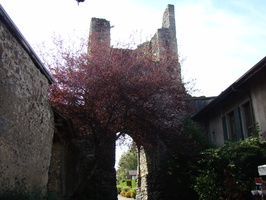 DSC01535