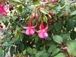 DSC01568