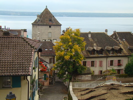 DSC01653