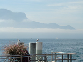 DSC01670