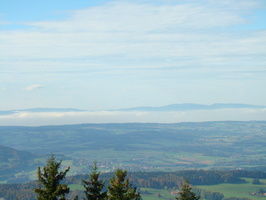 DSC01685