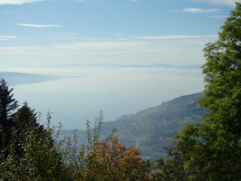 DSC01686