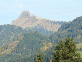 DSC01695