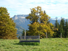 DSC01698