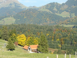 DSC01708