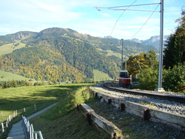DSC01710