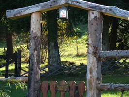DSC01711