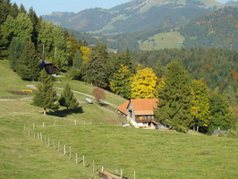 DSC01715