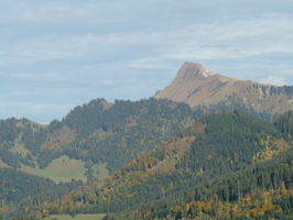 DSC01716
