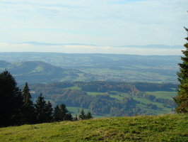 DSC01722