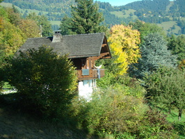 DSC01749