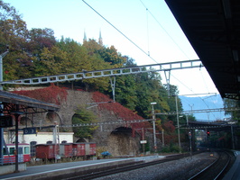 DSC01769