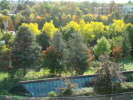 DSC01804