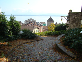 DSC01812