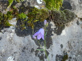 DSC01815