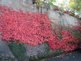 DSC01828