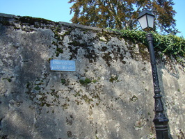 DSC01835