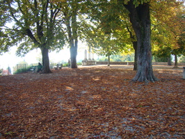 DSC01836