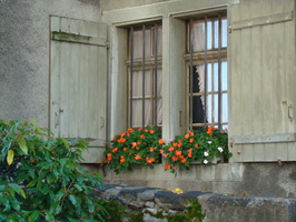 DSC01855