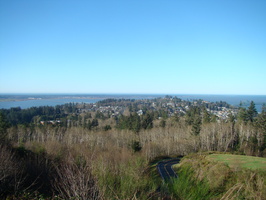 DSC01977
