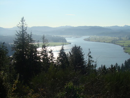 DSC01984