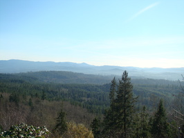 DSC01992