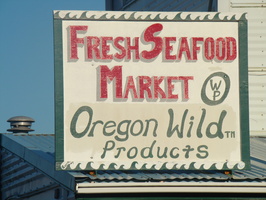 DSC02008