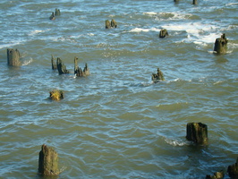 DSC02013