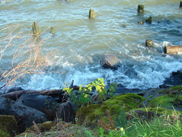 DSC02015