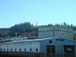 DSC02022