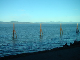 DSC02043