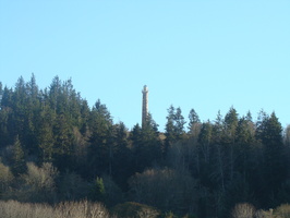 DSC02045