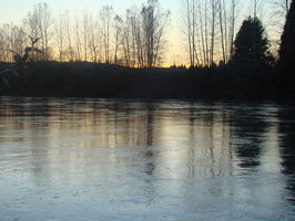 DSC02059