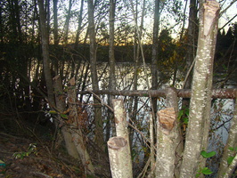 DSC02065