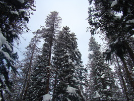 DSC02314